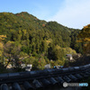 長谷寺より望む