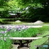 明月院