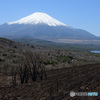 野焼き跡と富士山