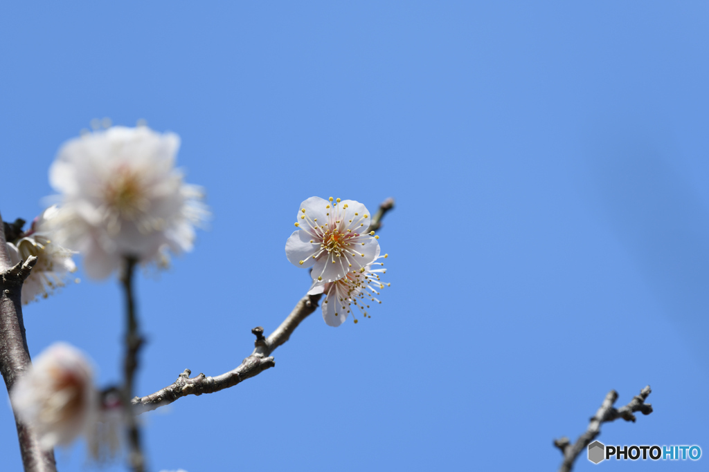 青空