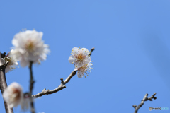 青空