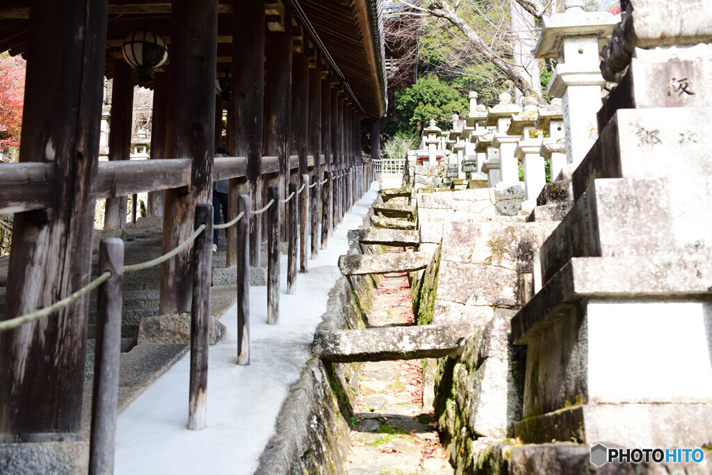 長谷寺　登廊