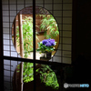 鎌倉　一条恵観山荘