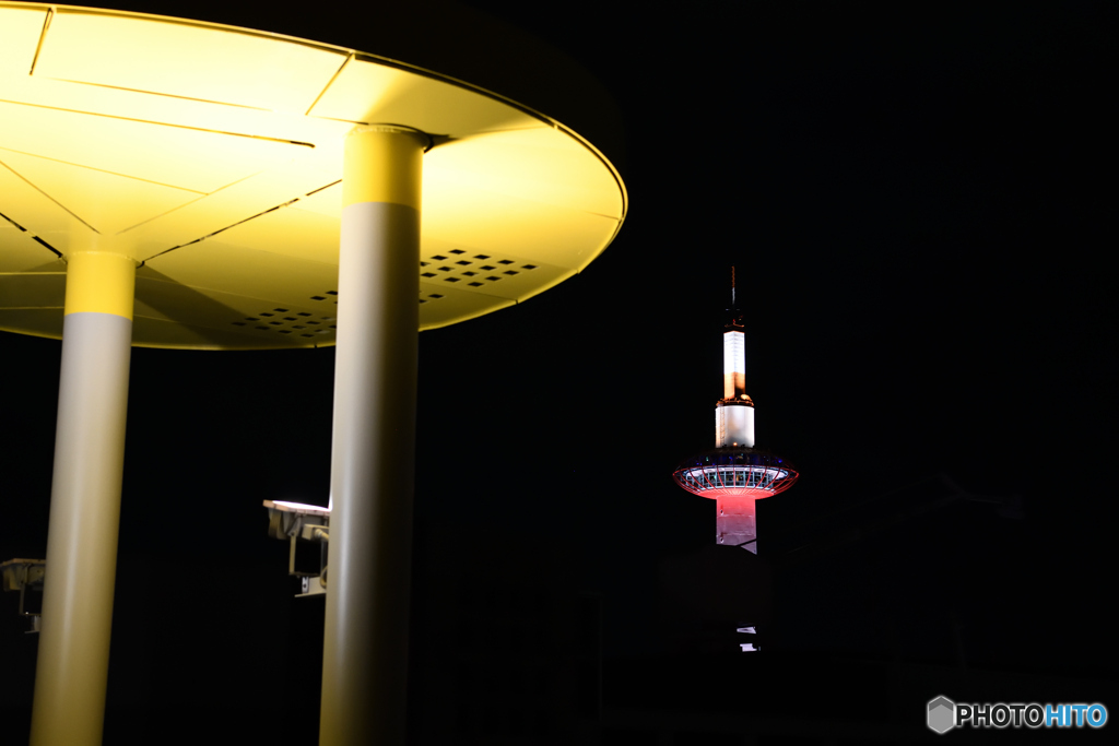 夜陰の燈明のように