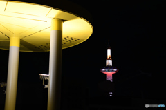 夜陰の燈明のように