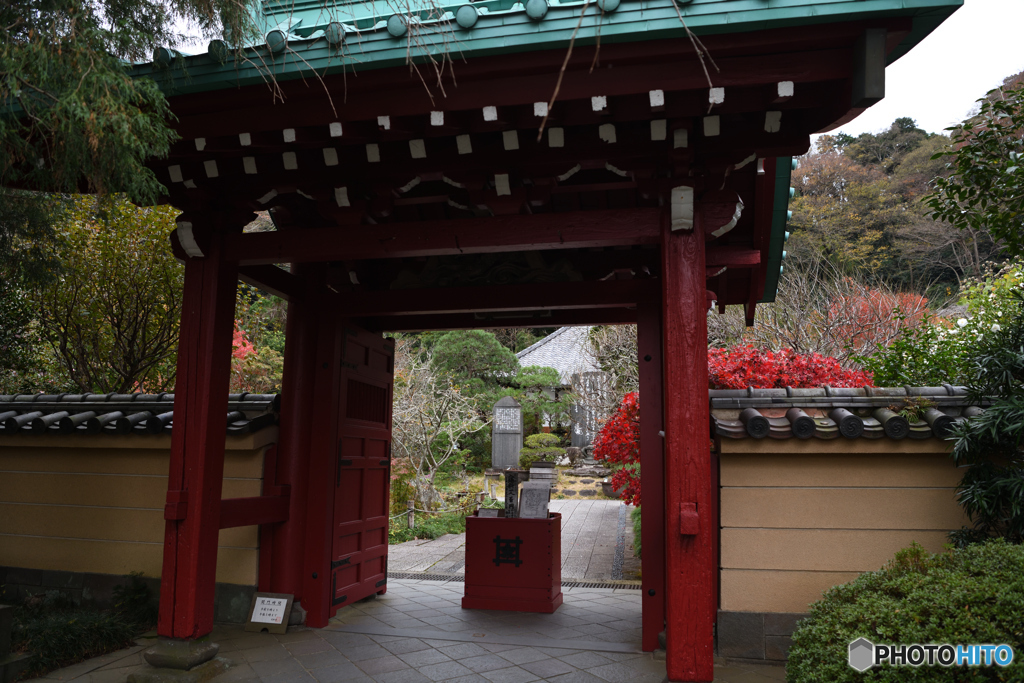 鎌倉　光則寺