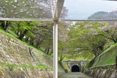 琵琶湖疏水