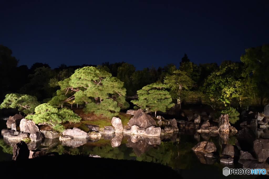 二条城庭園ライトアップ2