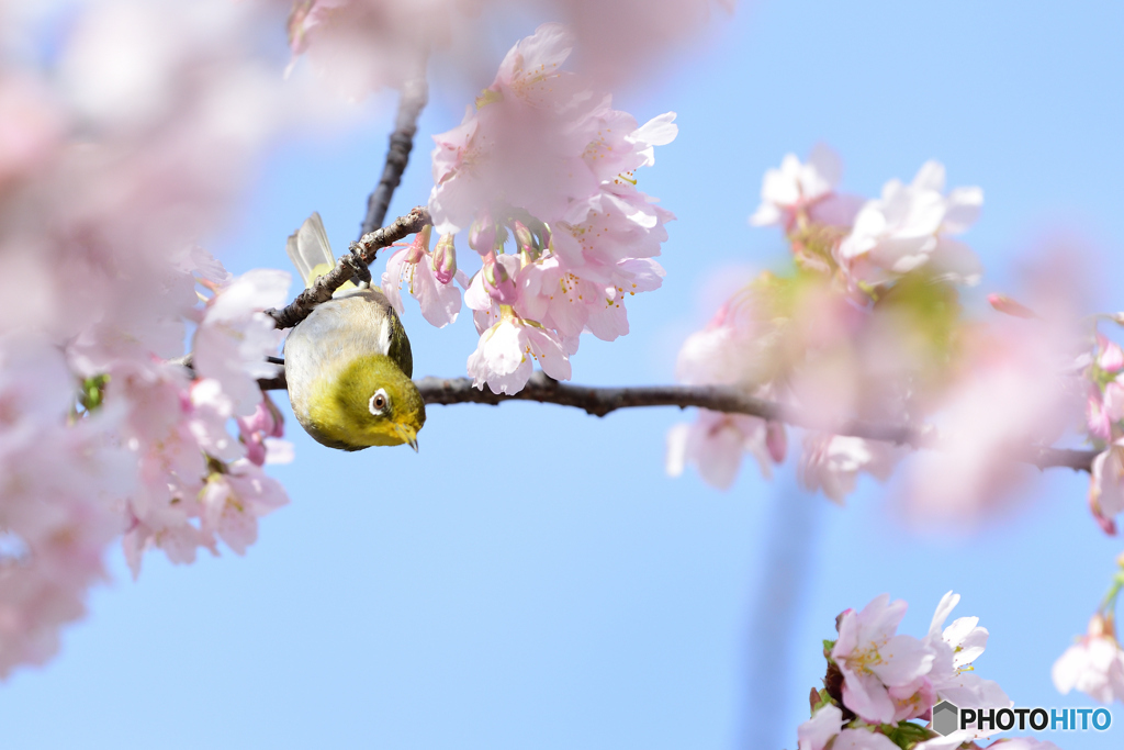 視線の先は何