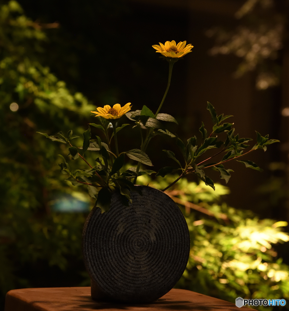 夜と花