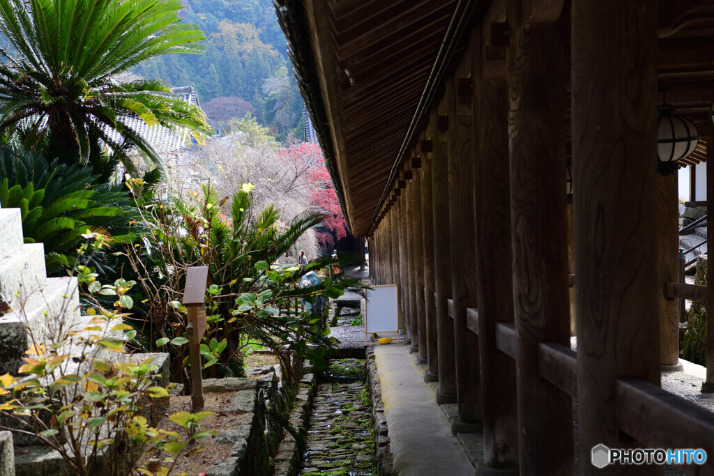 長谷寺　登廊