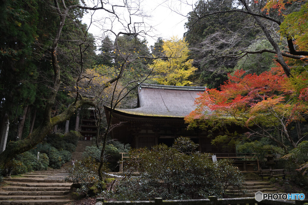 静かなる晩秋の室生寺