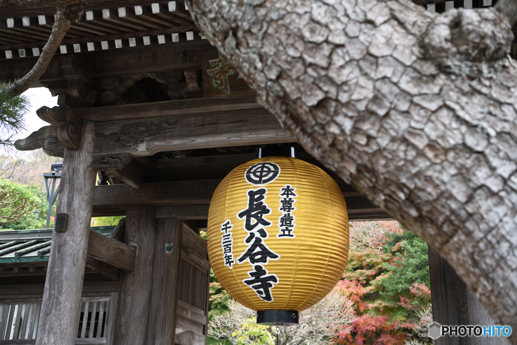 鎌倉　長谷寺