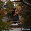 談山神社　錦秋