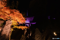 石山寺多宝塔
