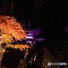 石山寺多宝塔