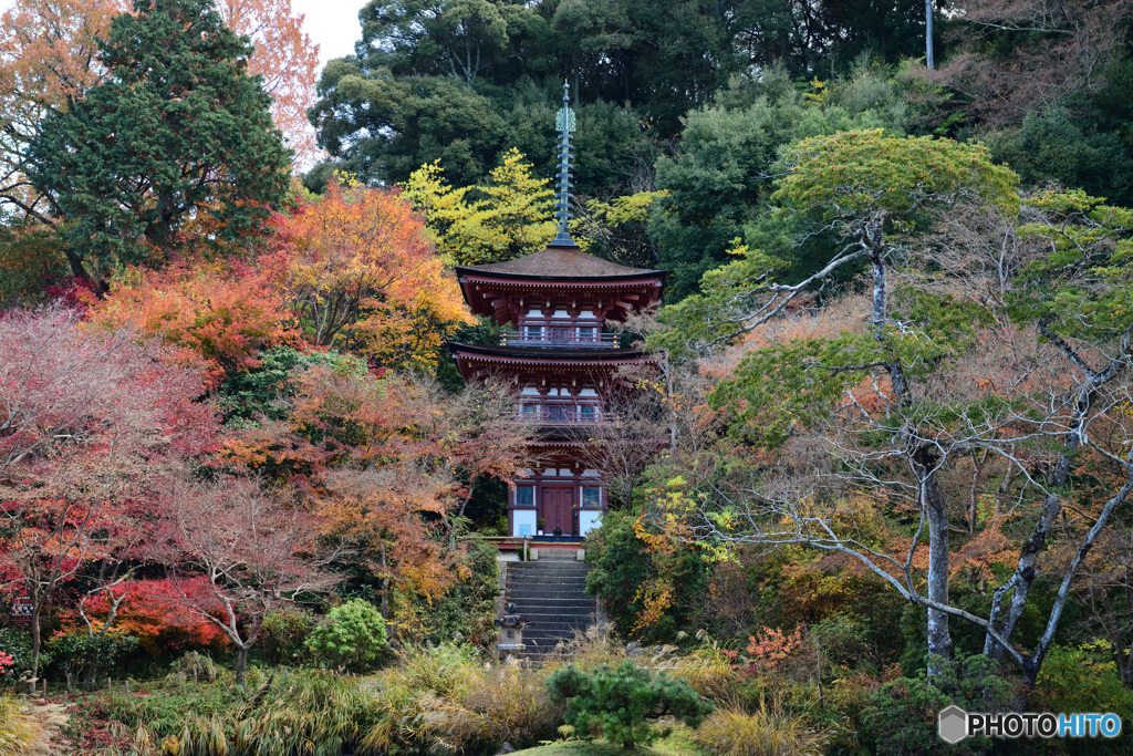 浄瑠璃寺 秋