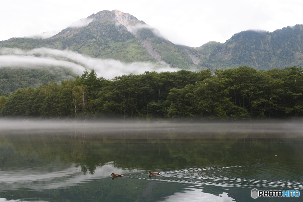 上高地　大正池