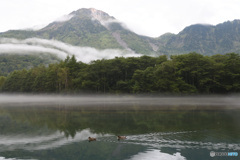 上高地　大正池