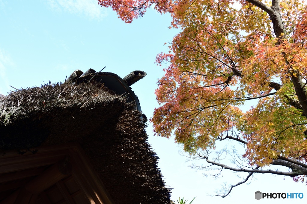 東慶寺3