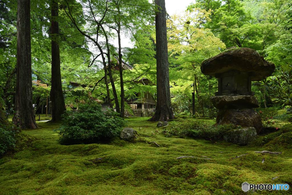 三千院　往生極楽院