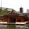 宮島　厳島神社