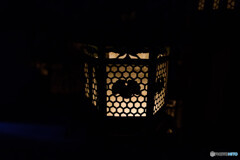 奈良　春日大社