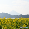 池田湖と開聞岳