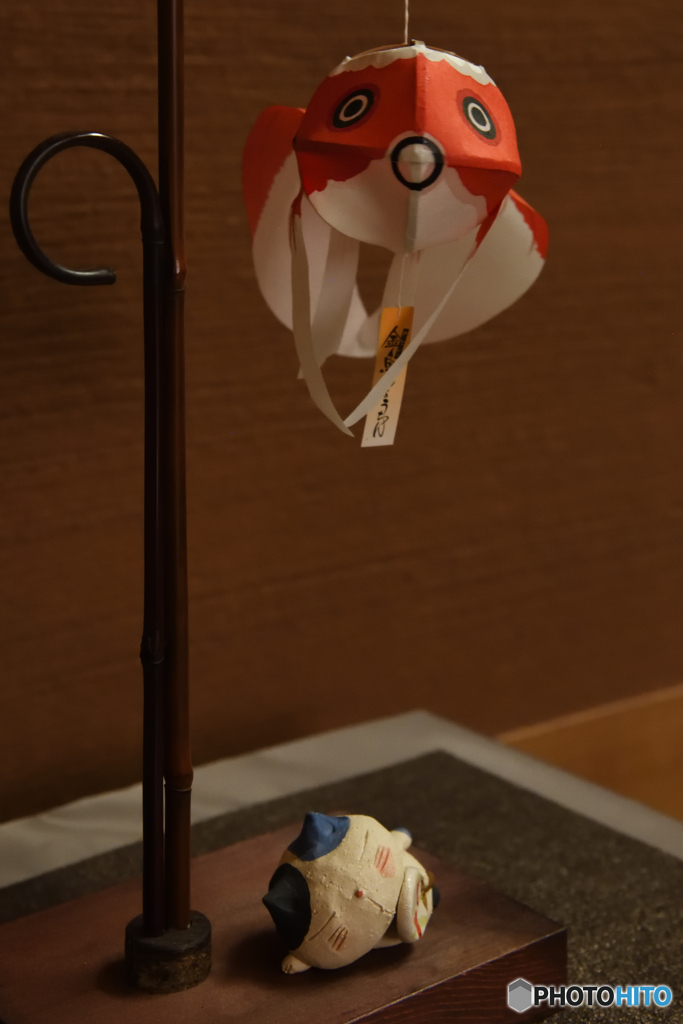 金魚&ネコ