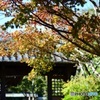 鎌倉　海蔵寺2