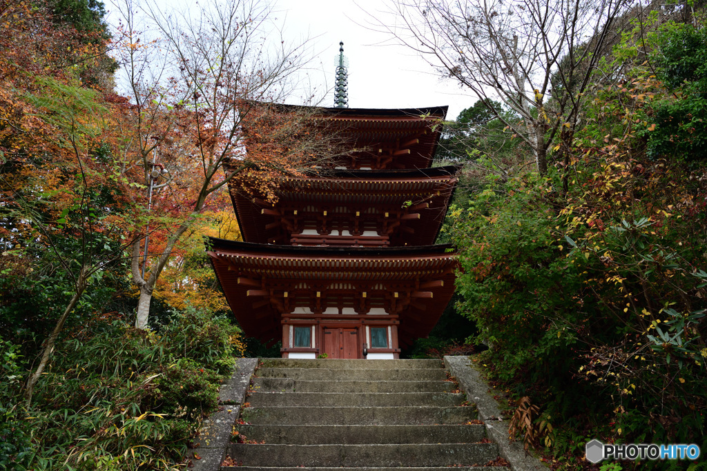 浄瑠璃寺　国宝三重塔