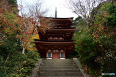 浄瑠璃寺　国宝三重塔
