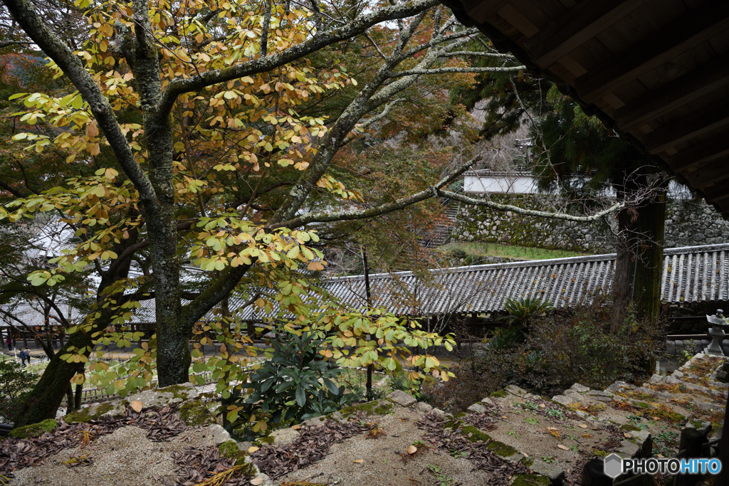 長谷寺2