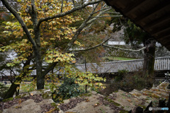 長谷寺2