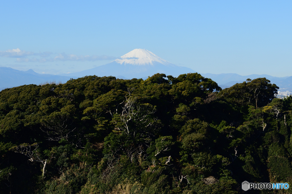 富士山