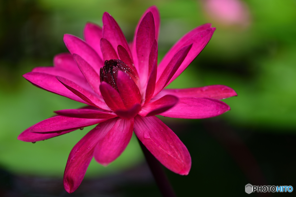 ちょっと違うでしょ