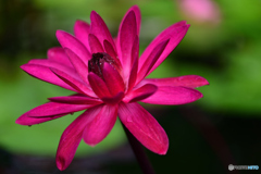 ちょっと違うでしょ