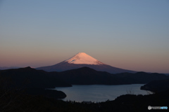 朝の富士山２