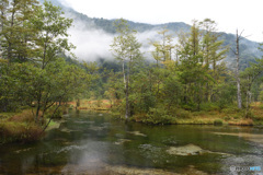 上高地　田代池