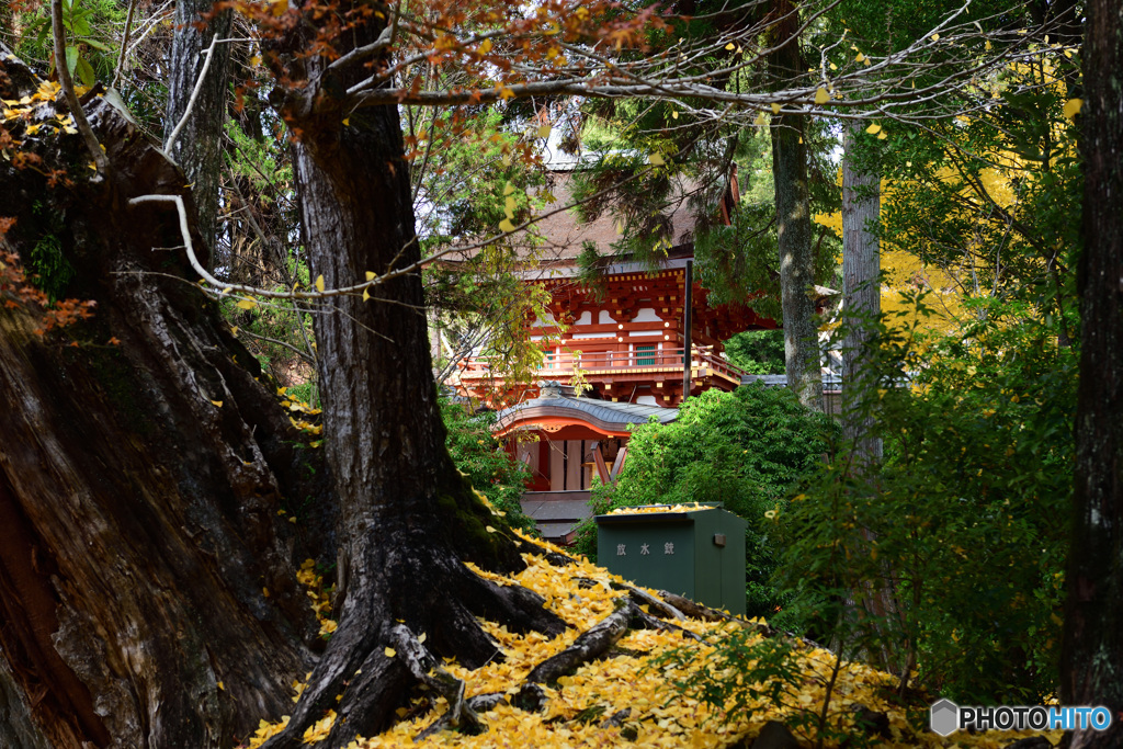 奈良　春日大社の秋