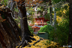 奈良　春日大社の秋