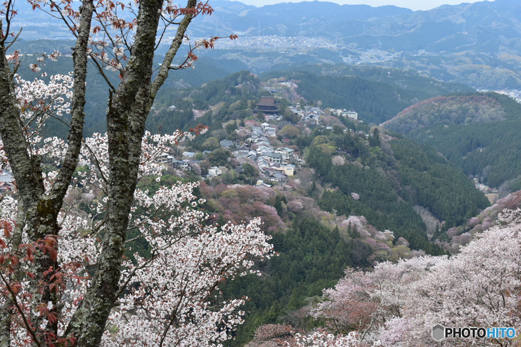 金峯山寺