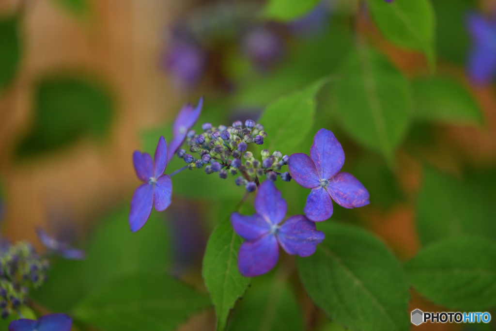 芯の強さ