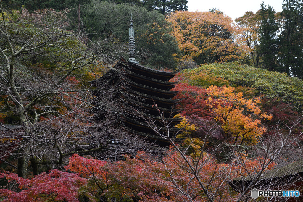 十三重塔　紅葉　晩秋