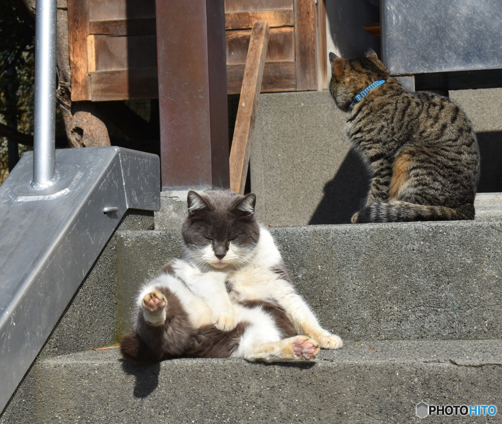 もう知らないよ。
