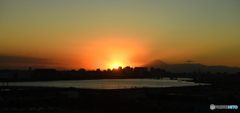 夕日　