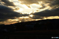 大和郡山城から夕陽を望む