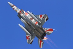 小松基地航空祭予行 アグレッサー