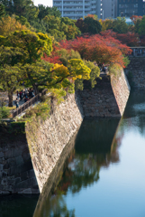 紅葉と反射