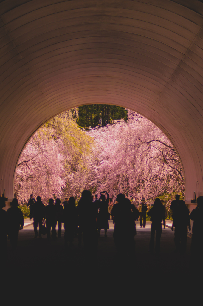 MIHO MUSEUM